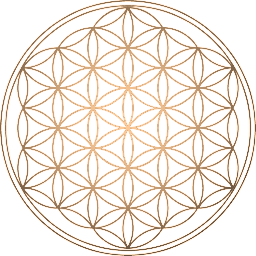 Seitenbild Farbe:ffcc99