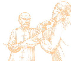 Seitenbild Farbe:ffcc99