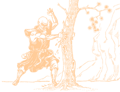 Seitenbild Farbe:ffcc99