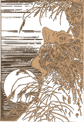 Seitenbild Farbe:ffcc99