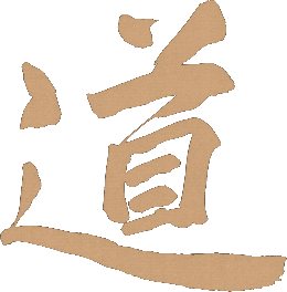 Seitenbild Farbe:ffcc99