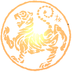 Seitenbild Farbe:ffcc99